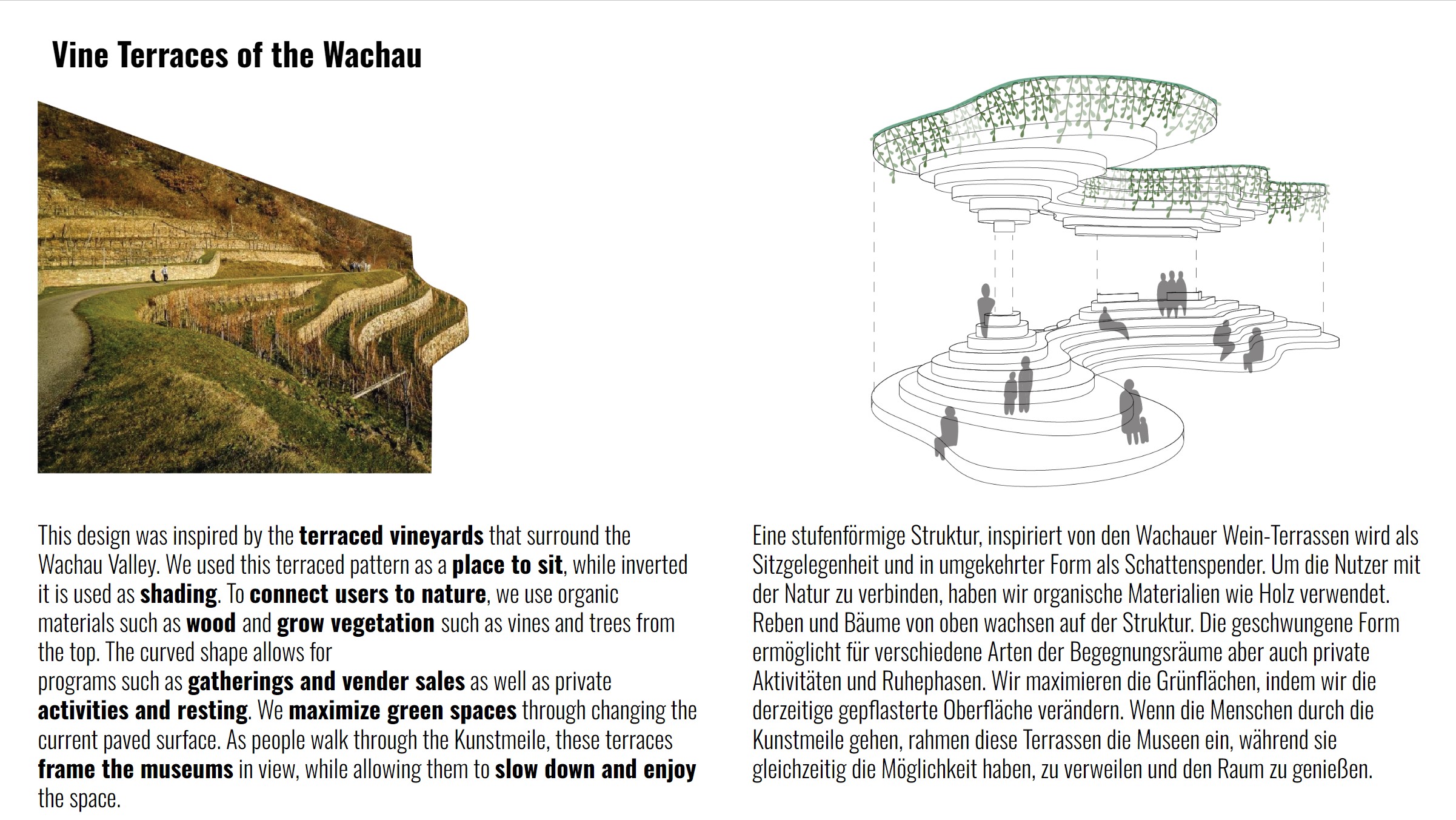Vine Terraces of the Wachau